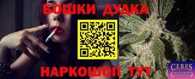 прущий лед Ачхой-Мартан