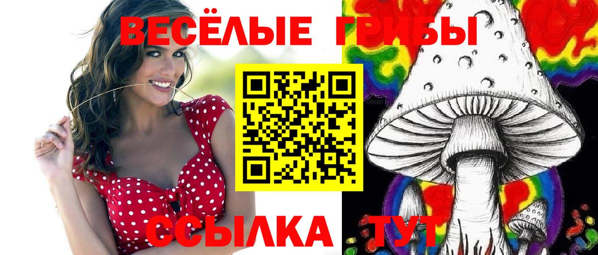 Аша  хочу наркоту  Вход с VPN  Галлюциногенные грибы Cubensis 